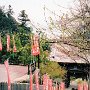 Miyajima Island, Japan